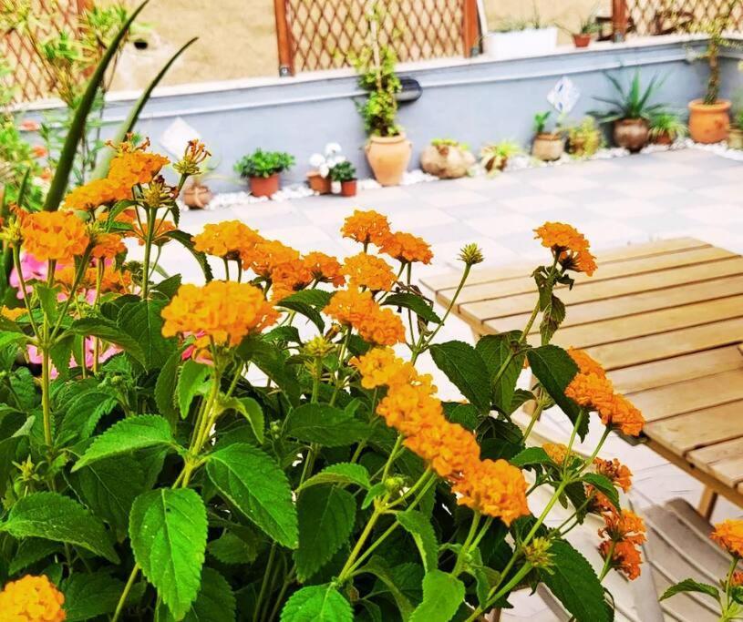 Casetta Poli- Appartamento Con Terrazza - Centro Storico Palermo Ngoại thất bức ảnh